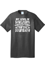 My Level of Sarcasm Depends on Your Level of Stupidity | Mens Big & Tall T-Shirt