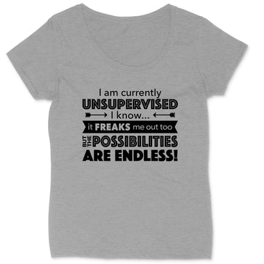 I'm Currently Unsupervised | Ladies Plus Size T-Shirt