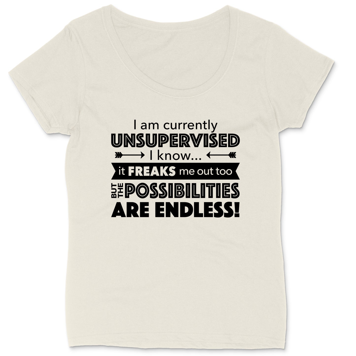 I'm Currently Unsupervised | Ladies Plus Size T-Shirt