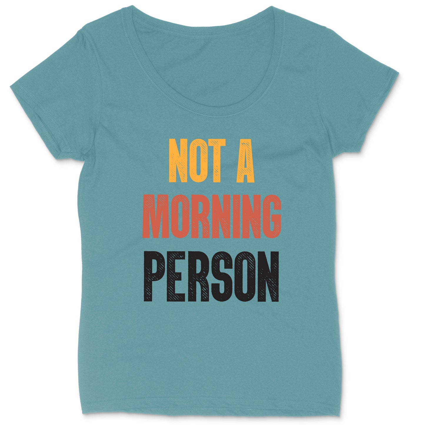 Not a Morning Person | Ladies Plus Size T-Shirt