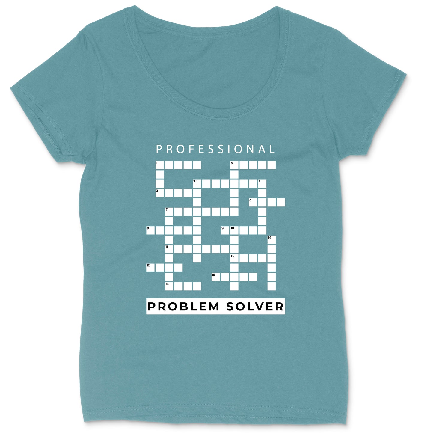 Professional Problem Solver | Ladies Plus Size T-Shirt