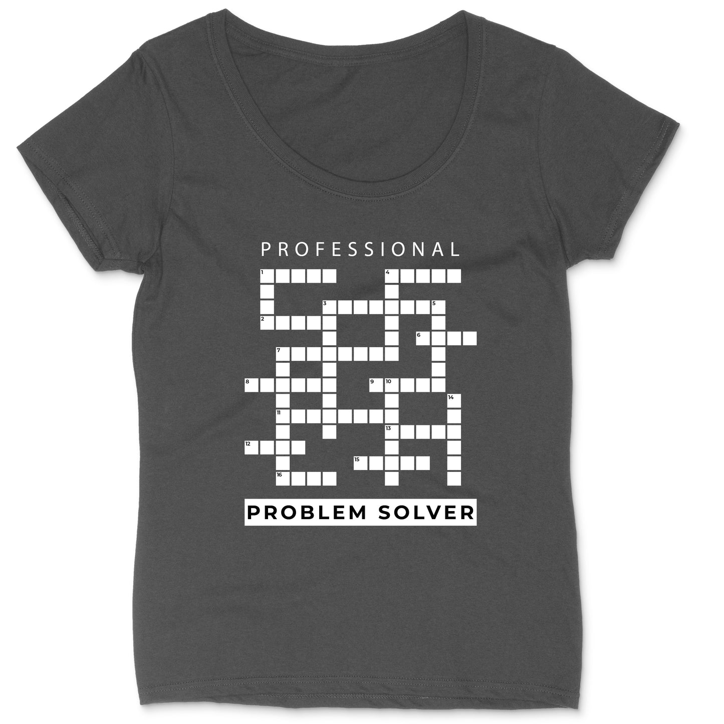 Professional Problem Solver | Ladies Plus Size T-Shirt