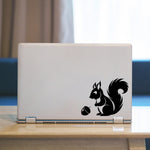 Squirrel Laptop Decal. Squirrel looking at acorn graphic.